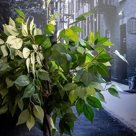 Superbe Avec Patio * Nimes