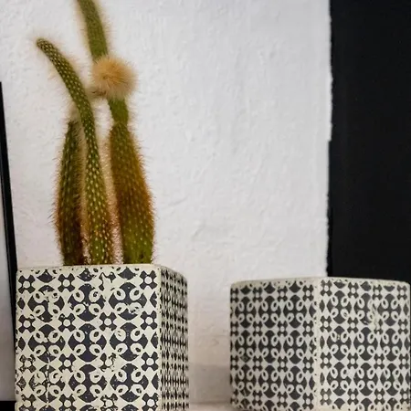 Daire Superbe Avec Patio Nîmes