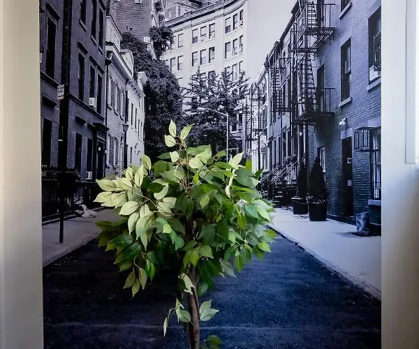 Superbe Avec Patio Apartment